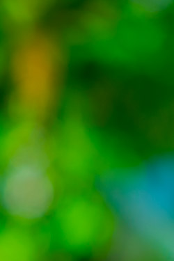 Geschlossen. Gebäude steht zum Verkauf.